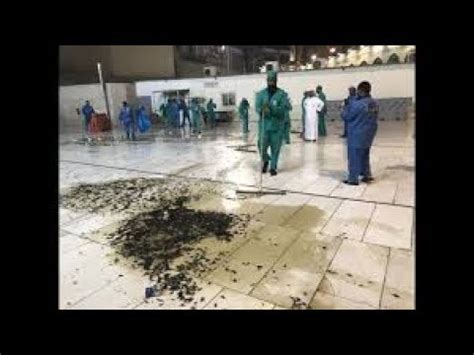 cockroach in mecca|Fact Check: Did Cockroaches Invade Grave of Prophet Muhammad and .